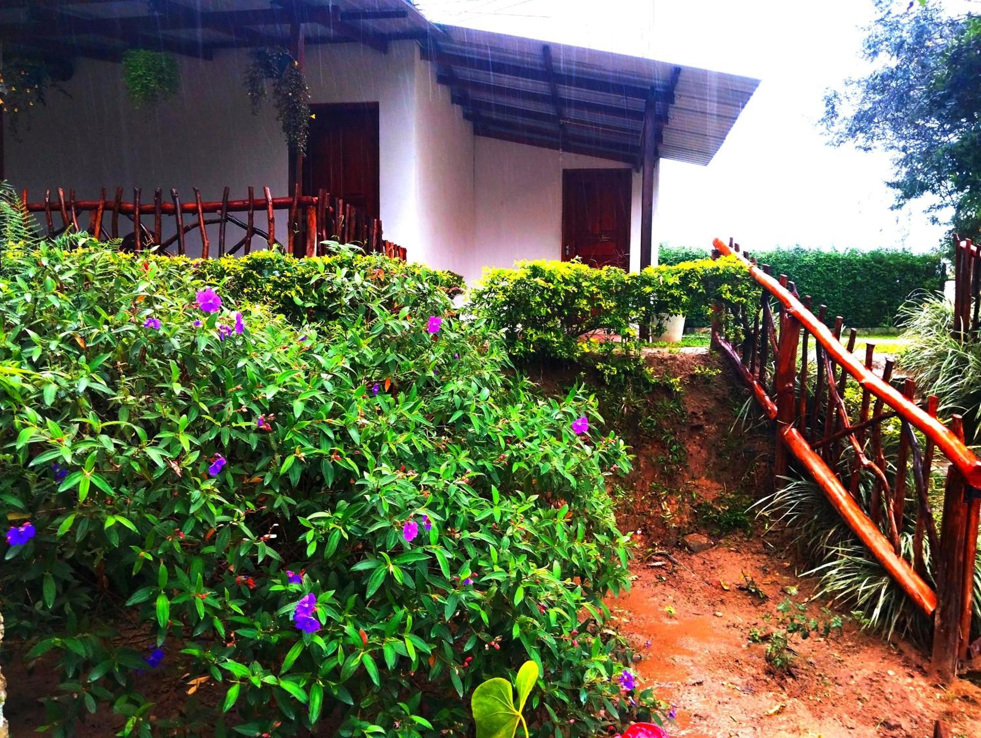 Ella Hotel Upper Hill Esterno foto