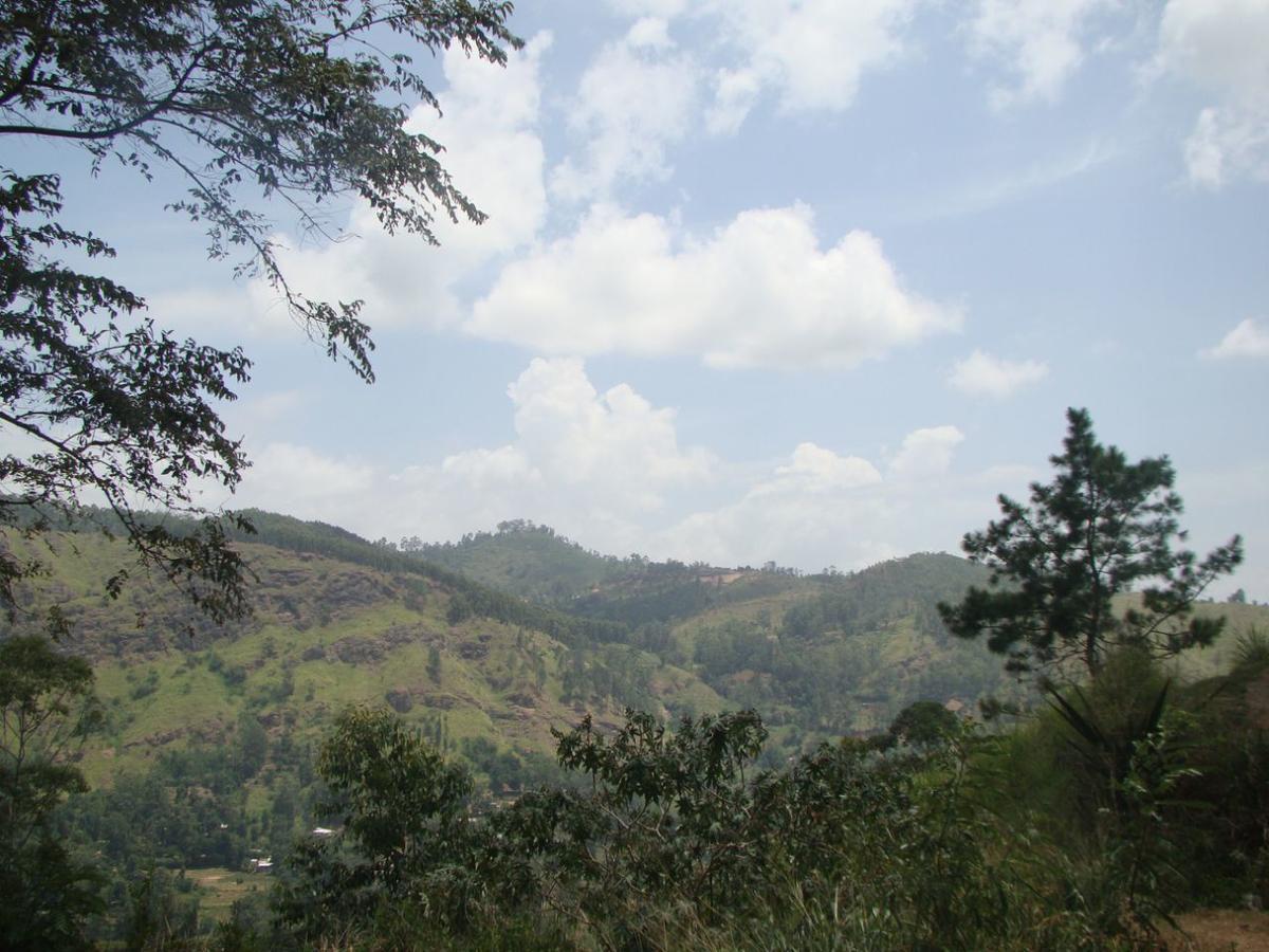 Ella Hotel Upper Hill Esterno foto