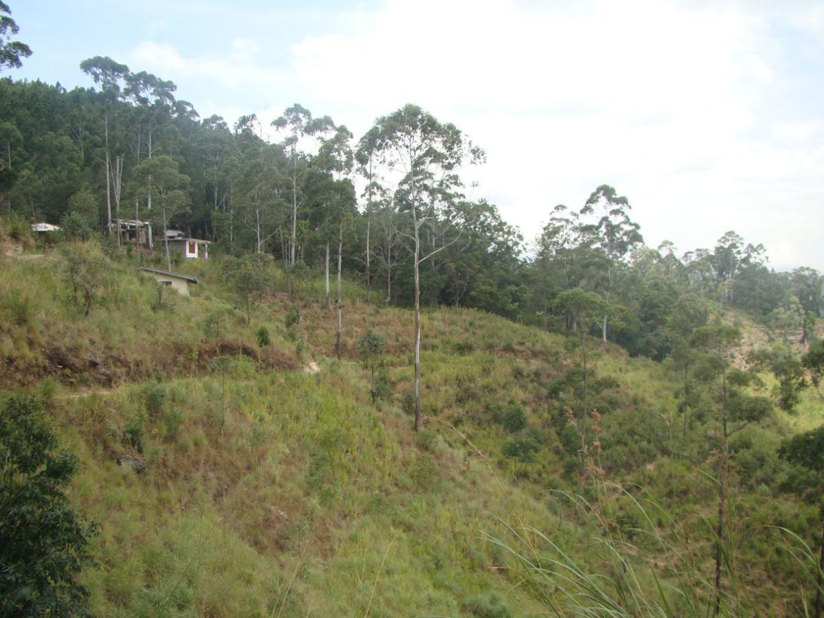Ella Hotel Upper Hill Esterno foto
