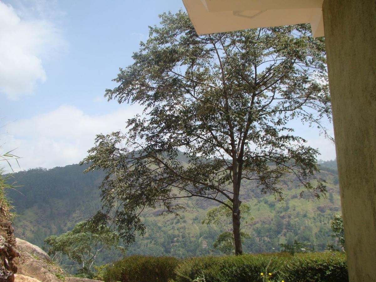 Ella Hotel Upper Hill Esterno foto