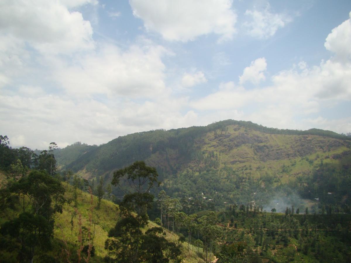 Ella Hotel Upper Hill Esterno foto